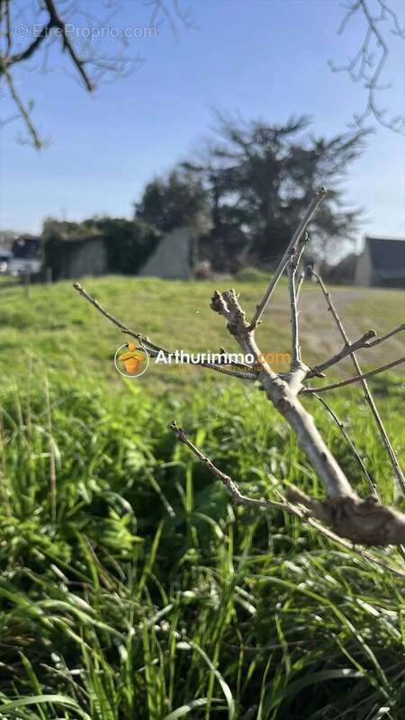 Terrain à PONT-AVEN