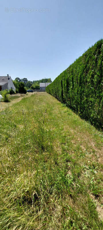 Terrain à GUECELARD