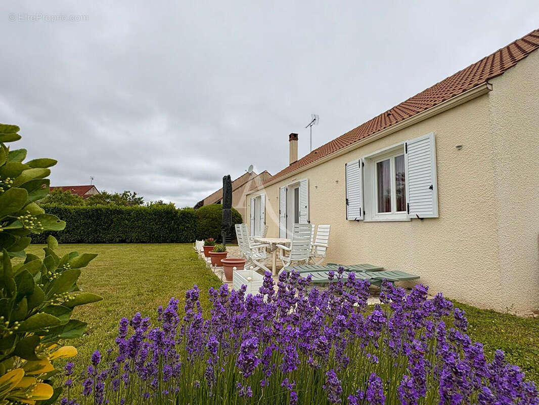 Maison à VITRY-AUX-LOGES