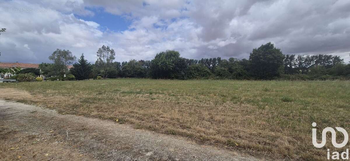Terrain 3724 m² à Bernay-Saint-Martin  - photo 3