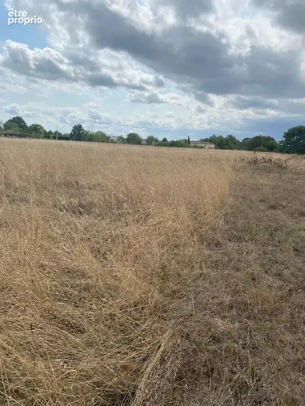 Terrain à MONTAUBAN
