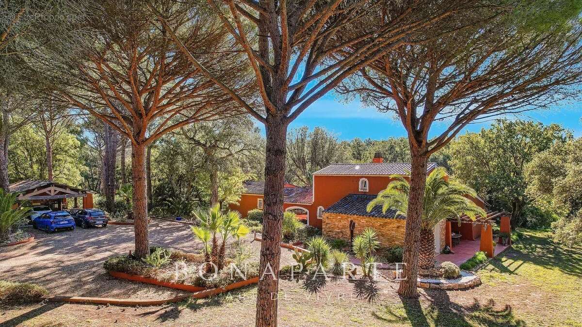 Véritable mas provençal au cœur d'une propriété de plus de 8000m² - photo 3