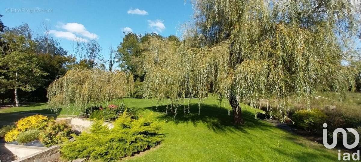 Photo 3 - Maison à YEVRES