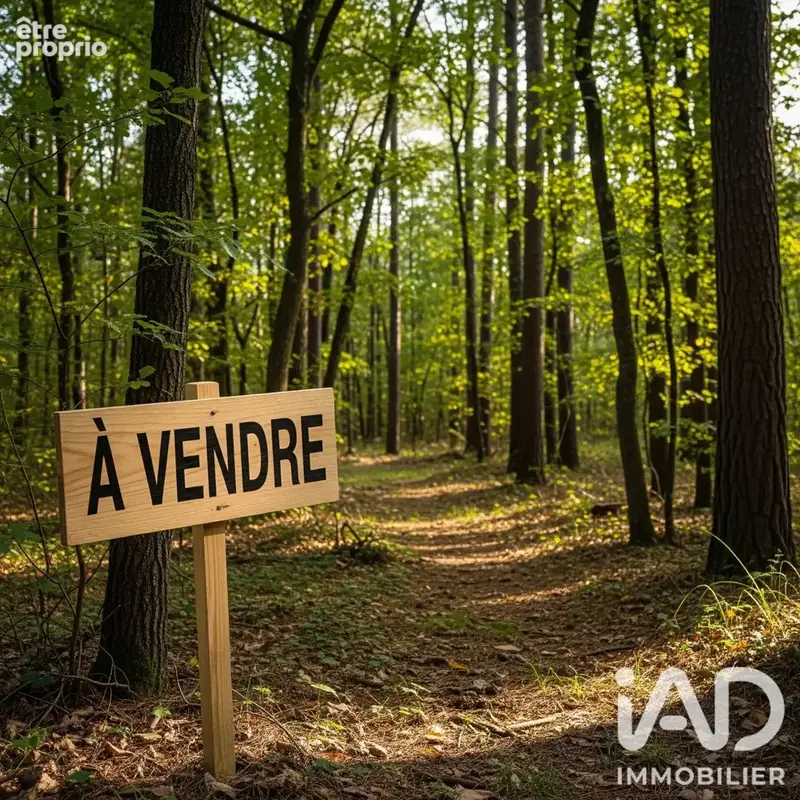 Photo 1 - Terrain à ARSAC
