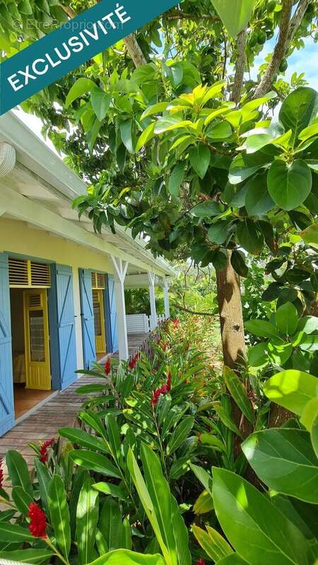 Photo 3 - Maison à SAINTE-ROSE
