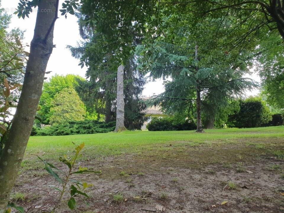 Terrain à NOISY-SUR-ECOLE