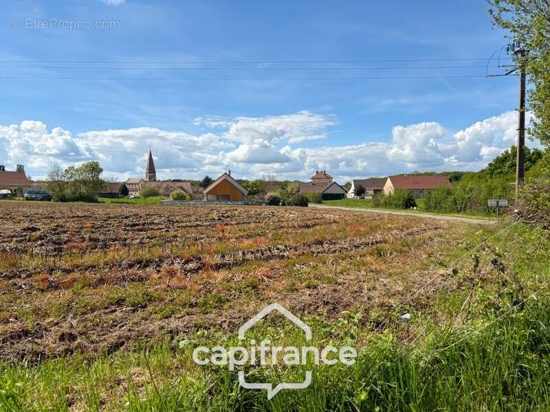 Terrain à SAINT-CHRISTOPHE-EN-BRESSE