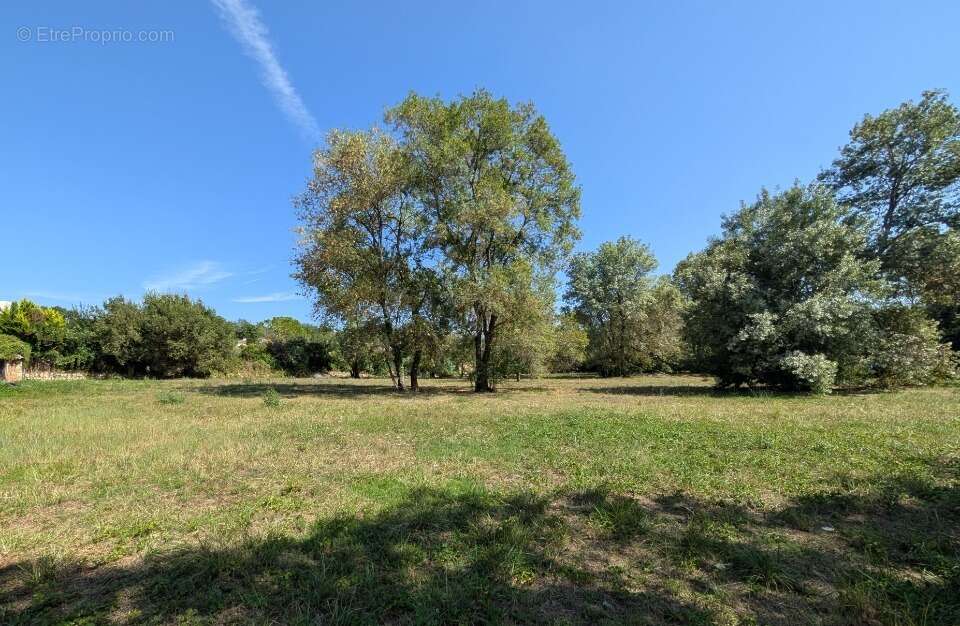 Terrain à CHATEAUNEUF-GRASSE