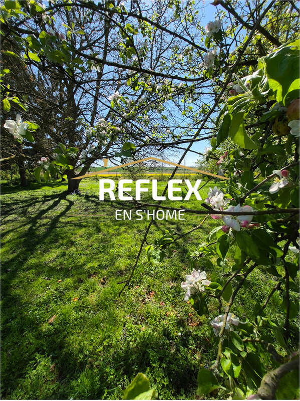 Maison à DERNANCOURT