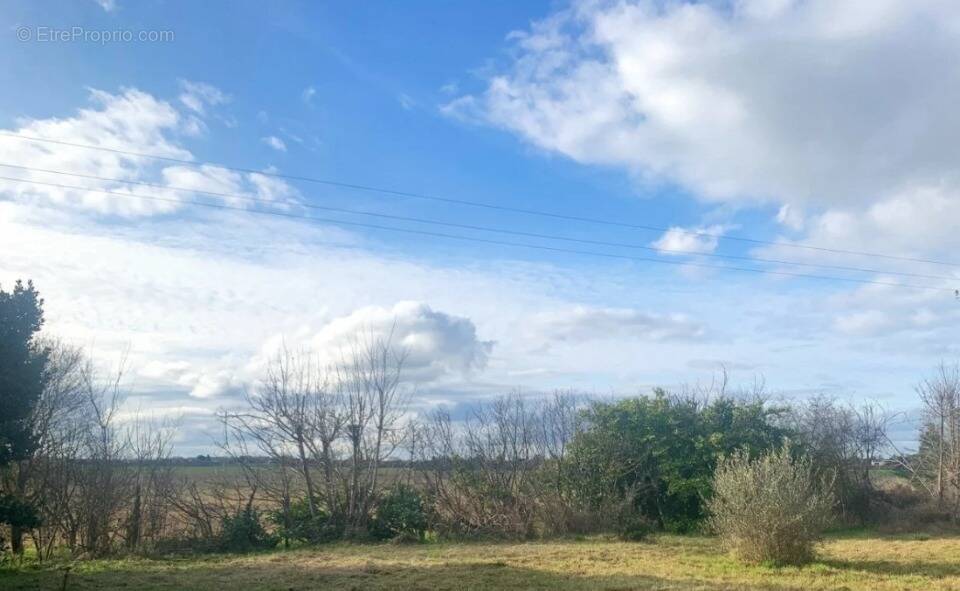 Terrain à LABARTHE-SUR-LEZE
