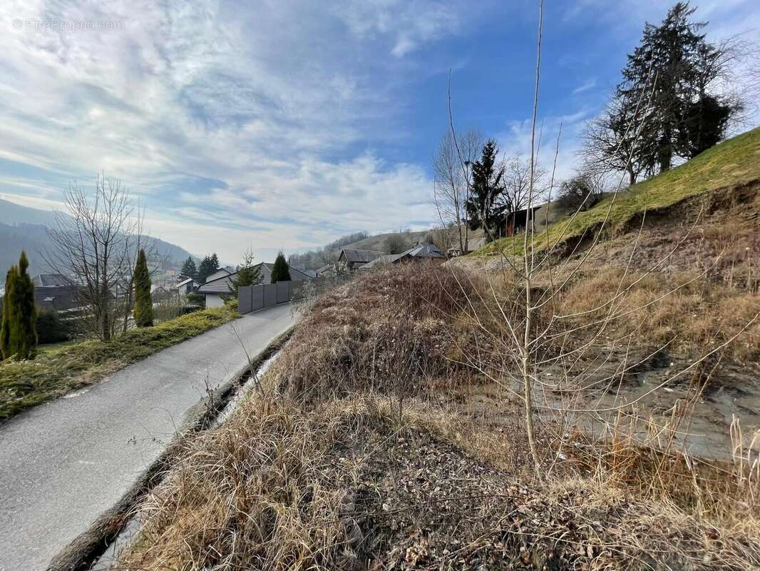 Terrain à COISE-SAINT-JEAN-PIED-GAUTHIER