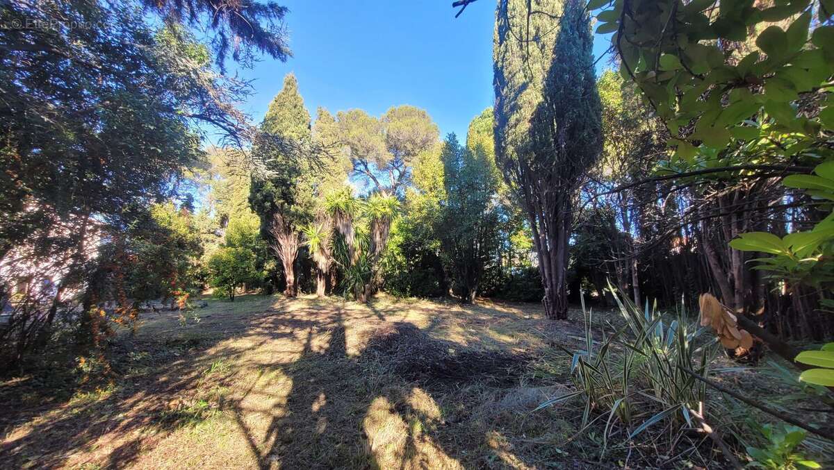 Photo 3 - Terrain à VILLENEUVE-LOUBET