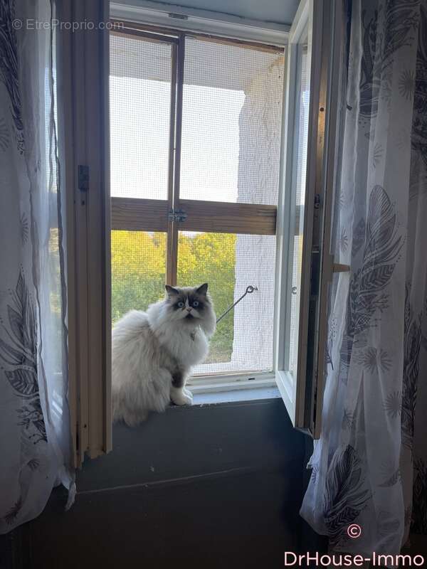 Maison à SAINT-APOLLINAIRE-DE-RIAS