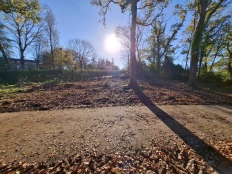 Terrain à MAREUIL-SUR-LAY-DISSAIS