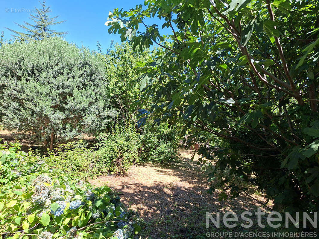 Immeuble à vendre à La Vernarède - 8 pièces, 143 m², terrain 1350 m² - photo 16