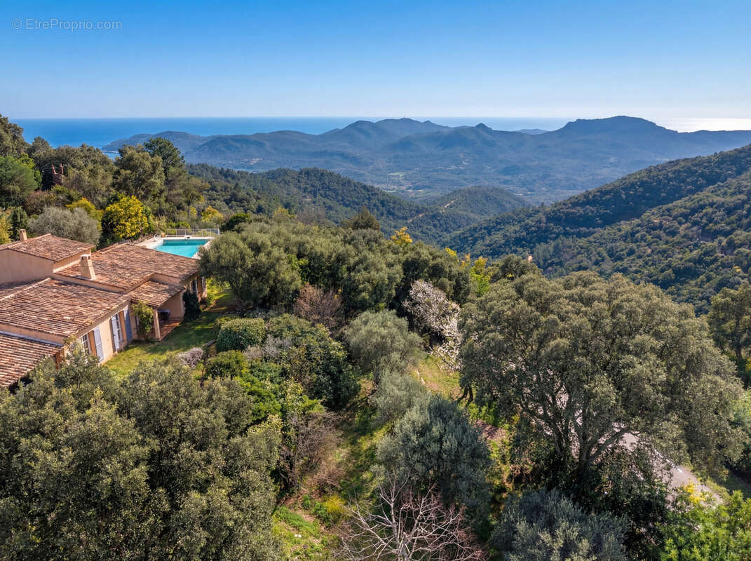 Maison à MANDELIEU-LA-NAPOULE