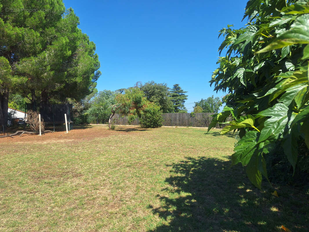 Maison à LAROQUE-DES-ALBERES