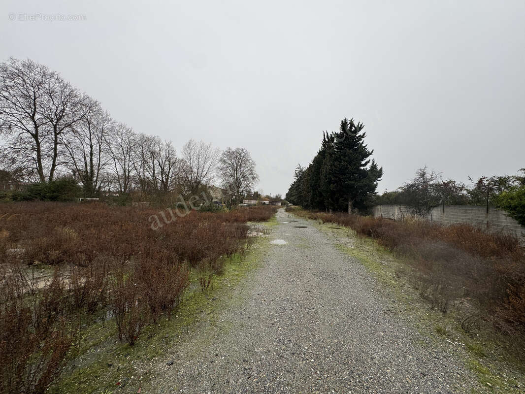Commerce à CARCASSONNE