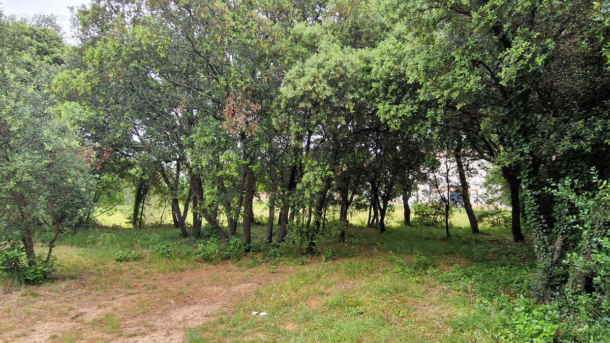 Terrain à LA BOISSIERE