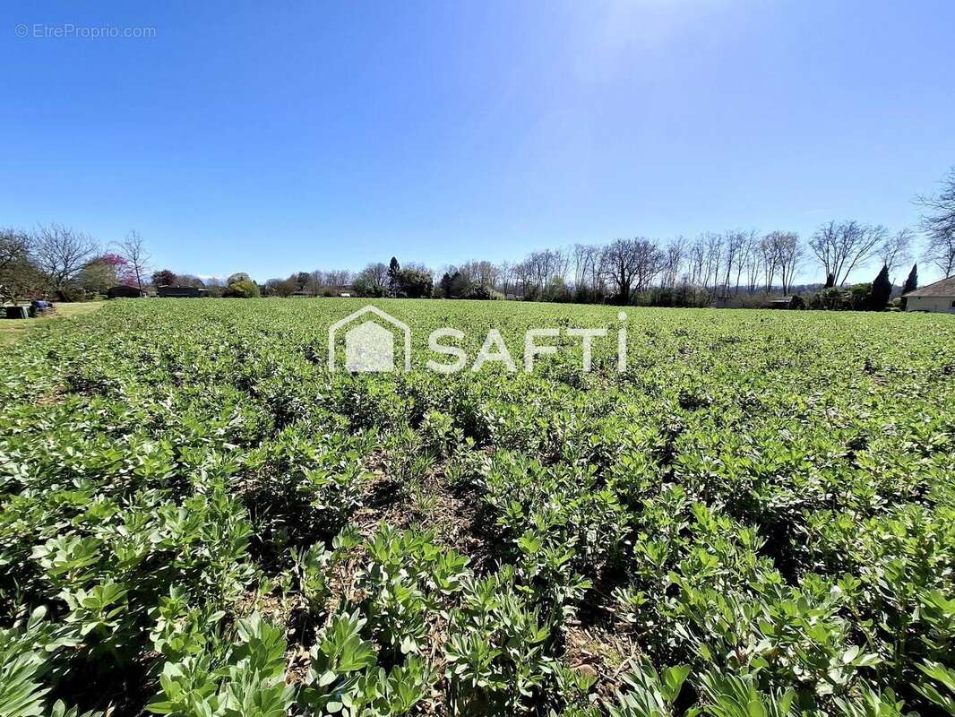 Photo 2 - Terrain à NAVARRENX