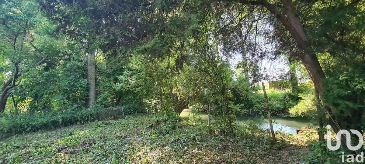 Photo 8 - Terrain à DERNANCOURT