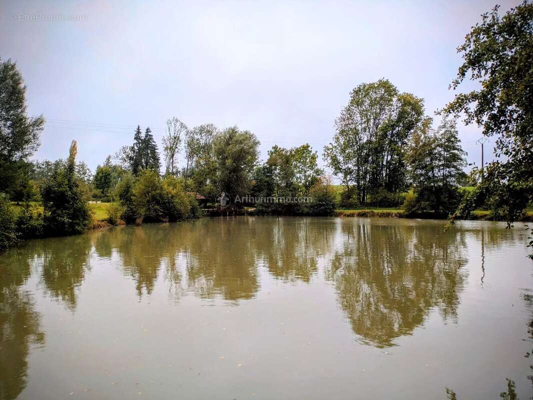 Terrain à PAREY-SOUS-MONTFORT