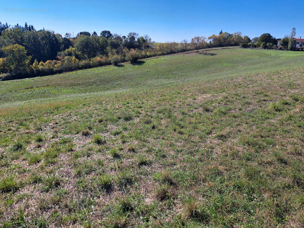 Terrain à AUCH