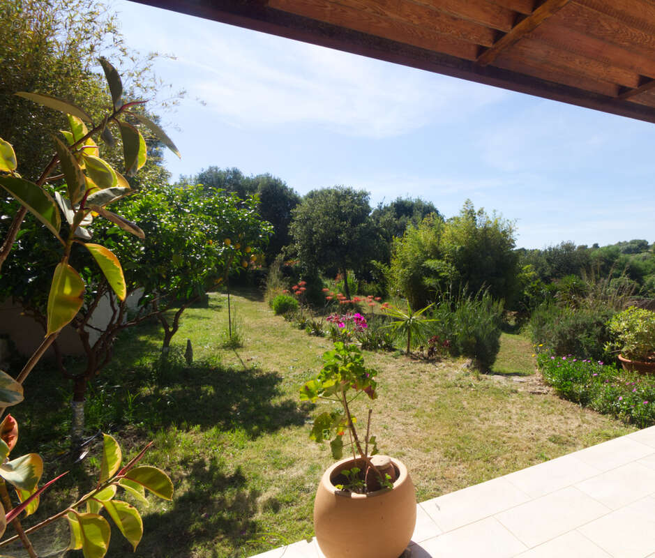 Maison à CALCATOGGIO