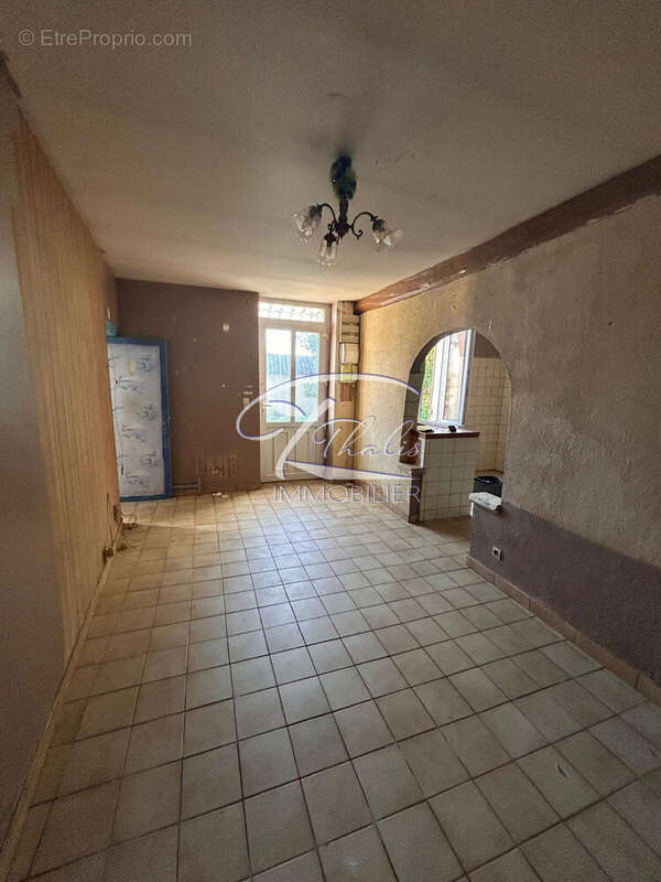 Maison à PLEINE-SELVE