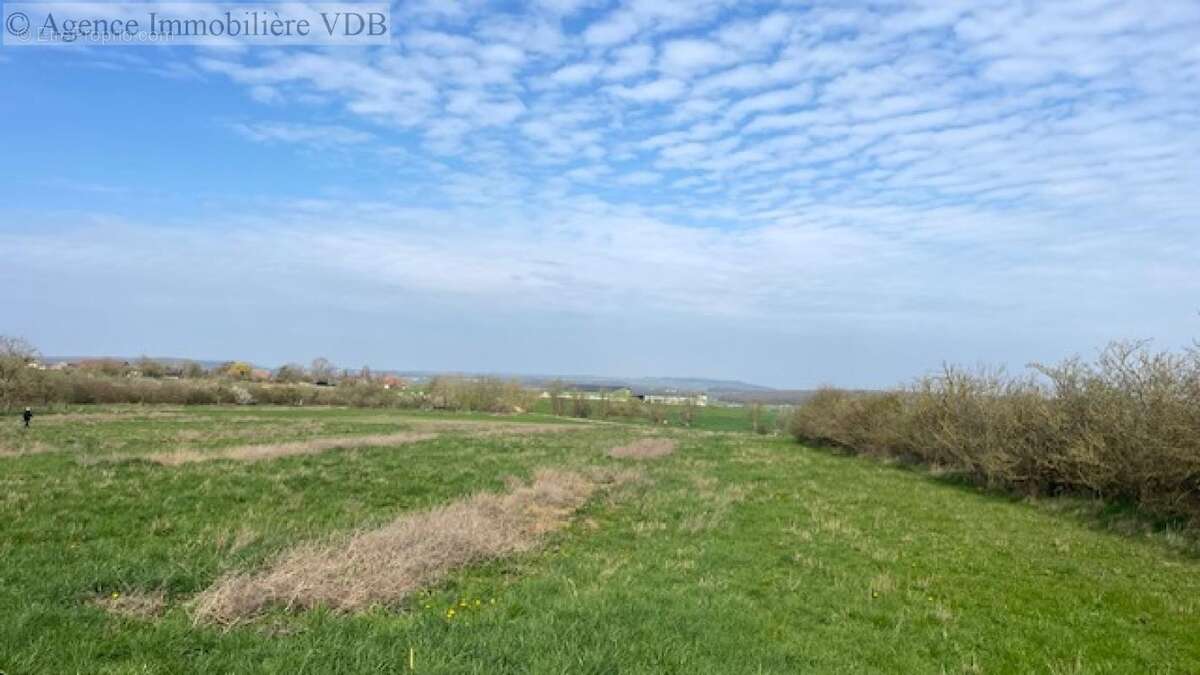 Terrain à HARAUCOURT
