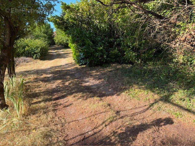 5 848 m2 constructibles-une grande maison- PLATEAU DU LARZAC : 1h de Montpellier - photo 21