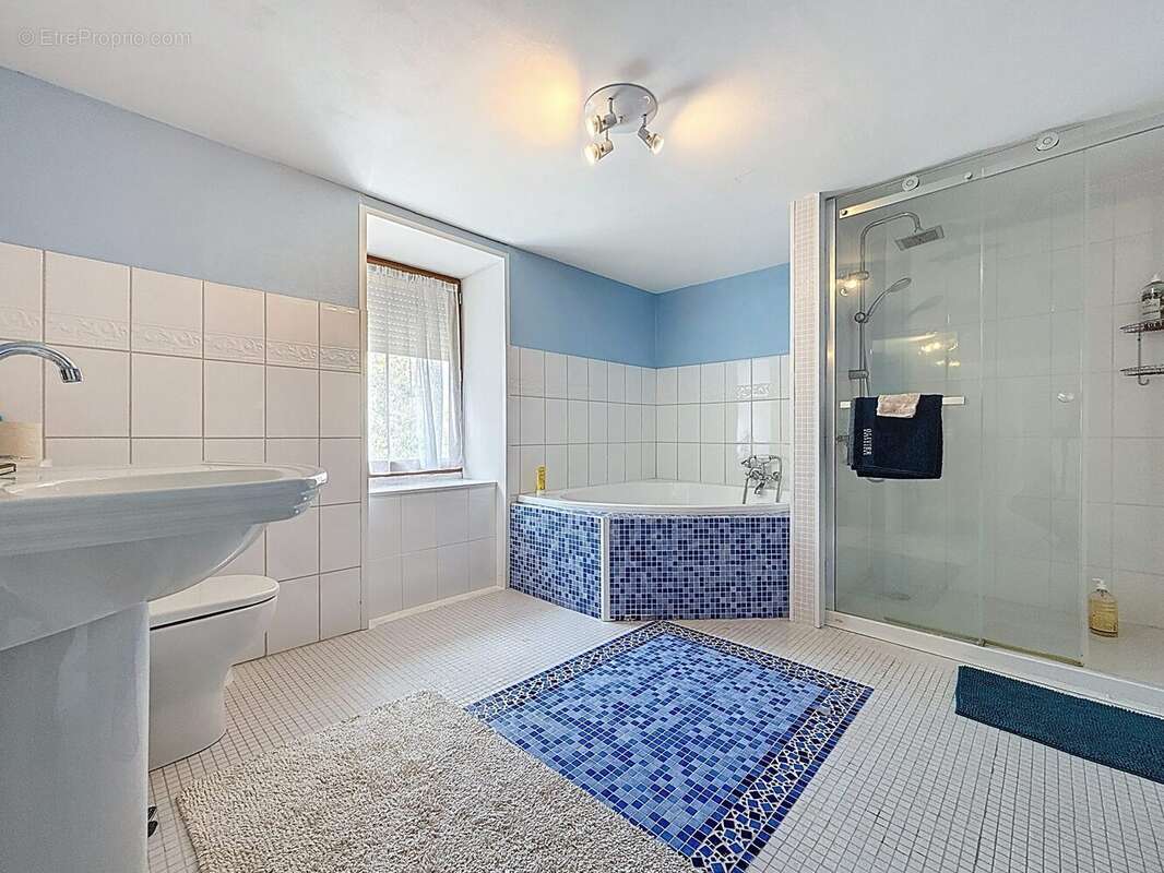 Maison à SAINT-PIERRE-DE-FRUGIE