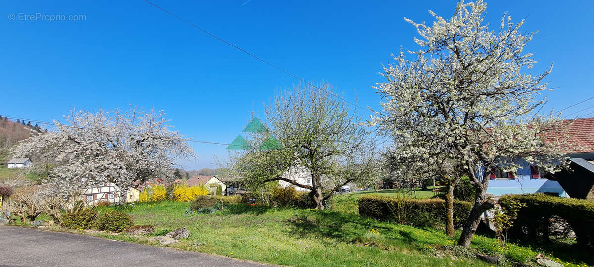 Maison à VIEUX-FERRETTE