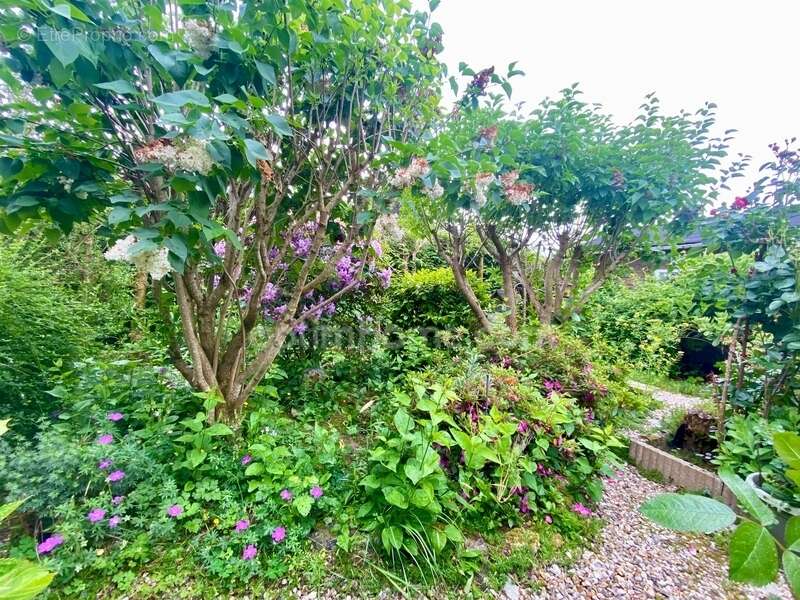 Maison à QUETTEVILLE