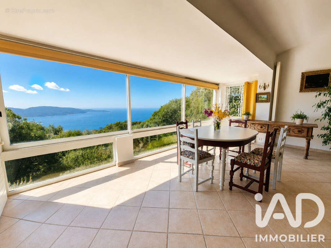 Photo 4 - Maison à OLMETO