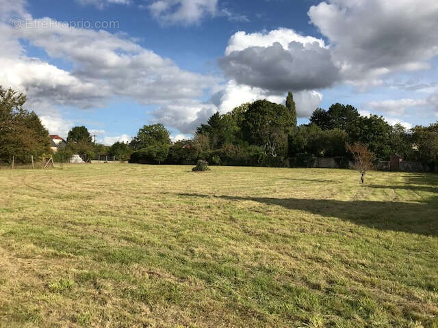 Terrain à AUBIGNY-SUR-NERE