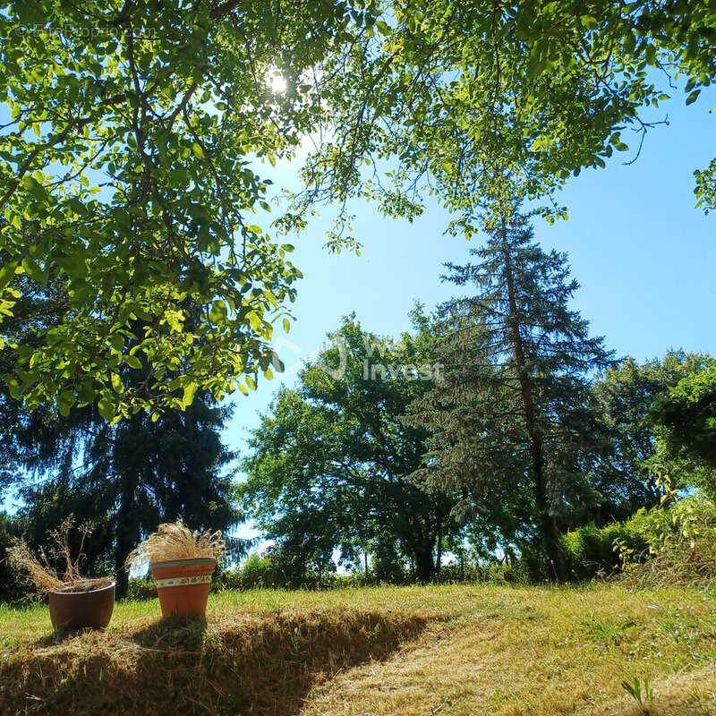 Maison à MACHAULT