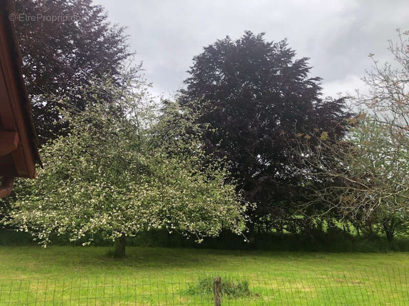 Maison à LARCEVEAU-ARROS-CIBITS