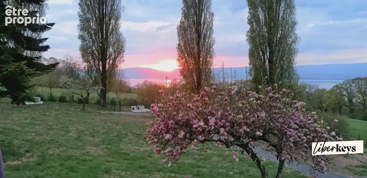 Maison 5 pièces vue panoramique lac Léman - Champanges - photo 11
