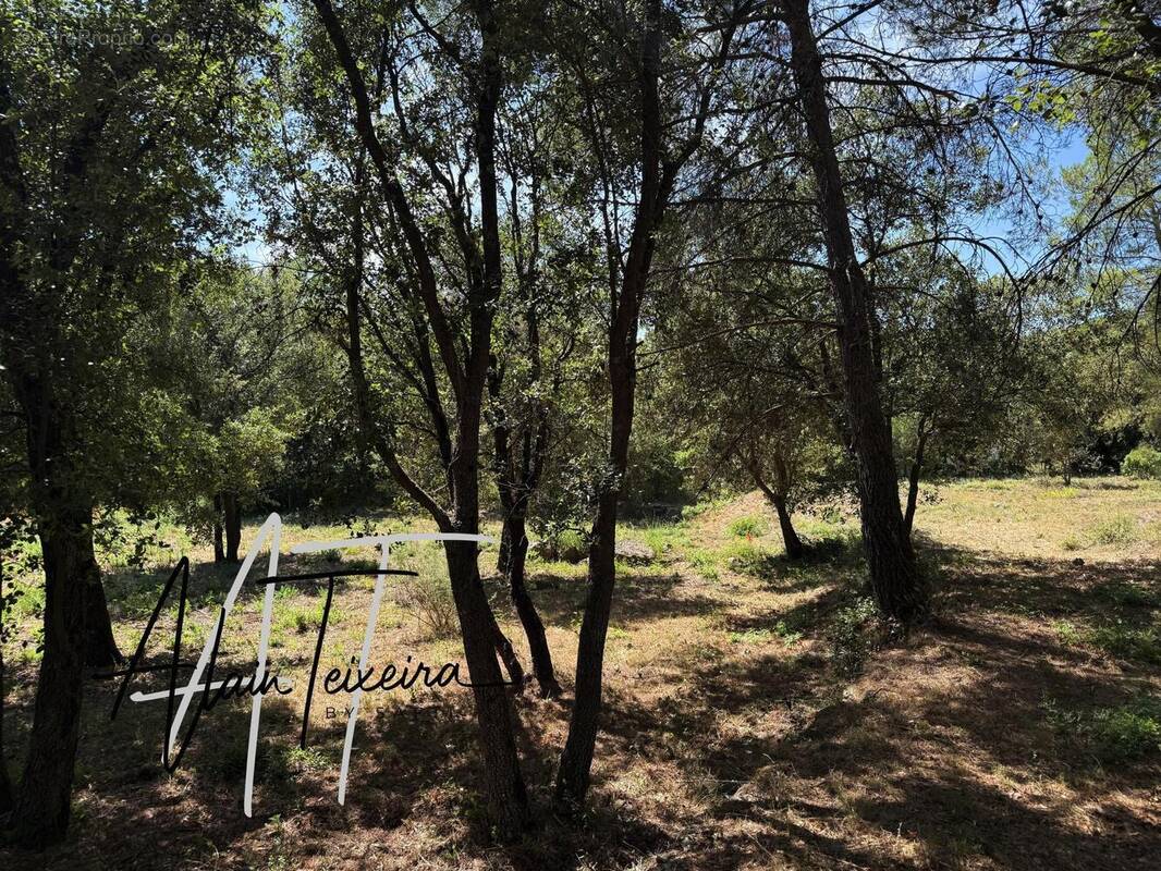 Photo 1 - Terrain à TARADEAU