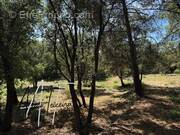 Photo 1 - Terrain à TARADEAU