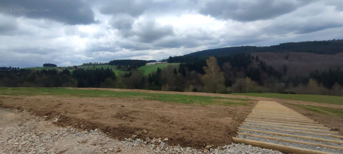 Terrain à SAINT-ROMAIN-LES-ATHEUX