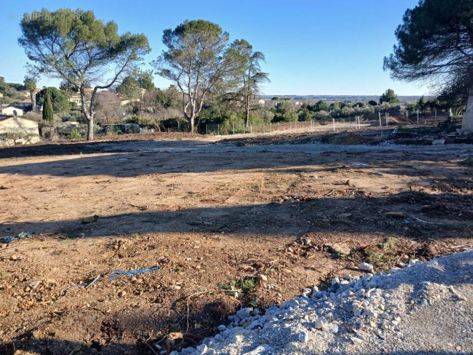 Terrain à MUS