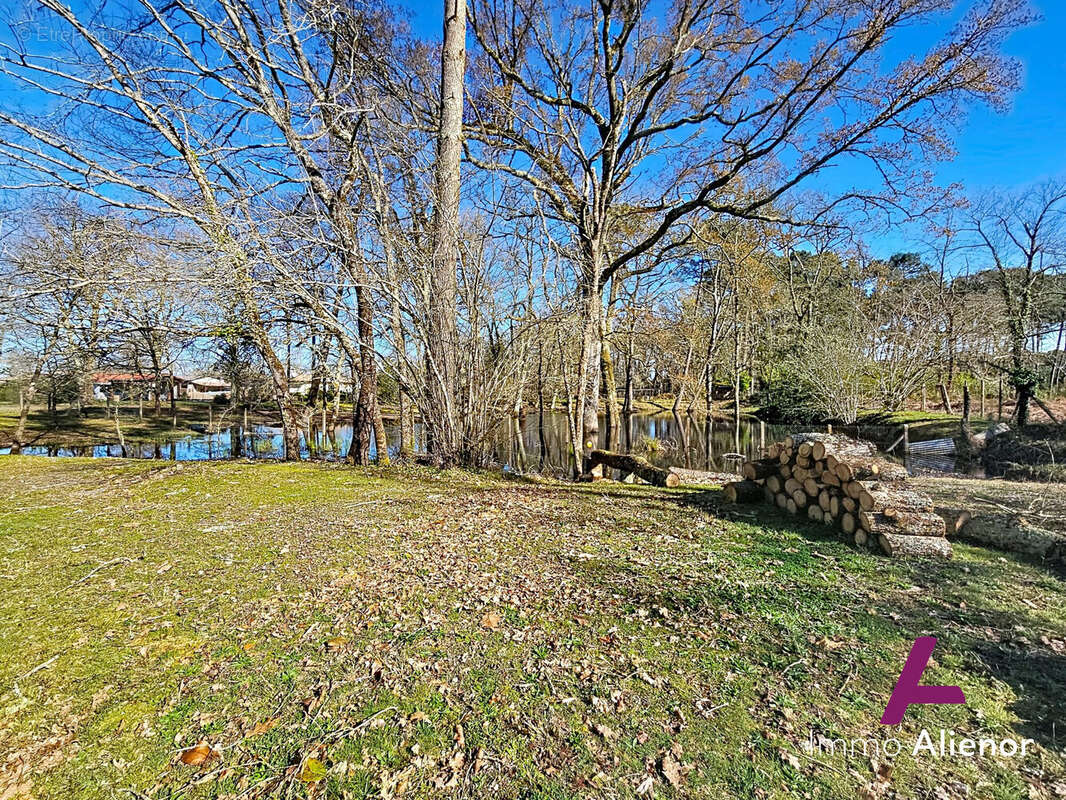 Terrain à BELIN-BELIET