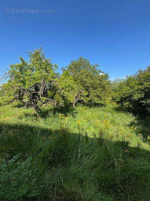 Maison à BREUVANNES-EN-BASSIGNY
