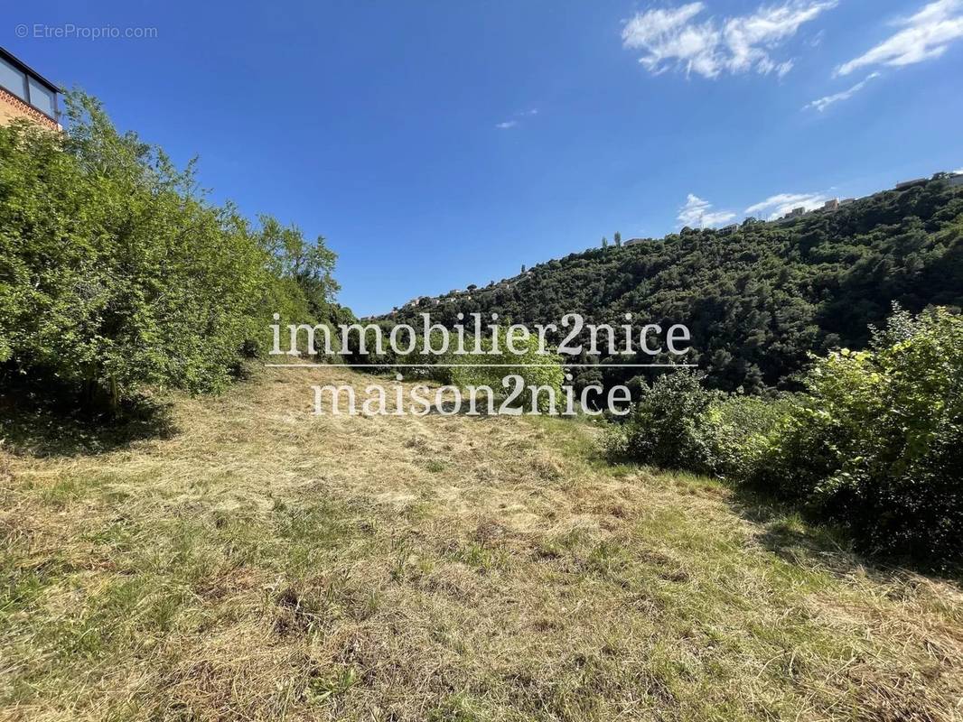 Terrain à NICE
