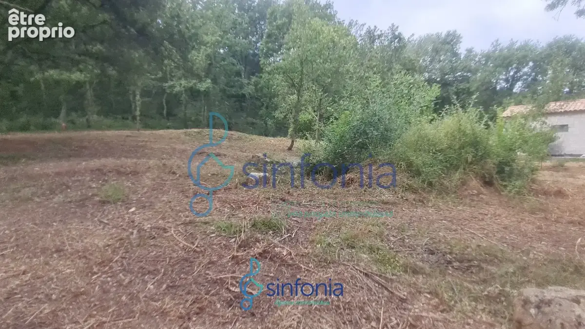 Terrain constructible à vendre à Pougnadoresse Gard 30 Occitanie - photo 8