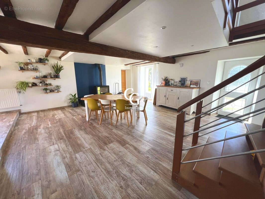 Maison à VIEILLEVIGNE