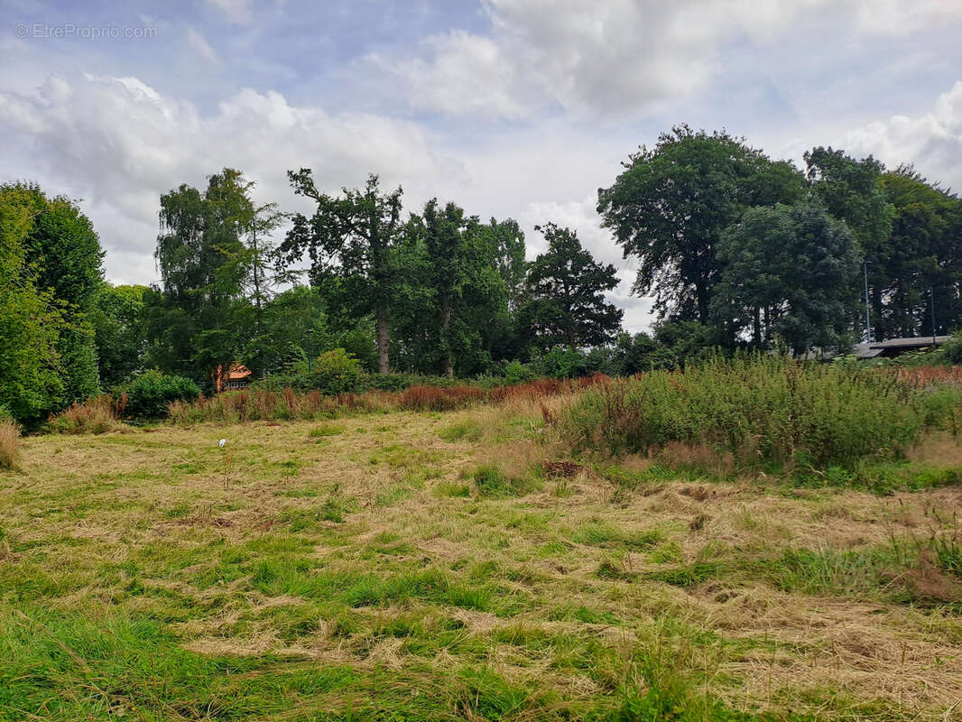 Terrain à VEULES-LES-ROSES