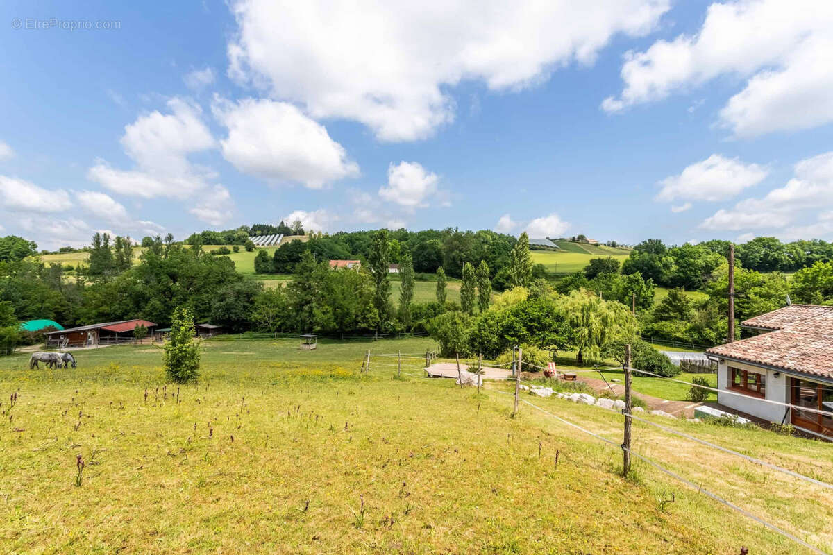 Propriete equestre - photo 15